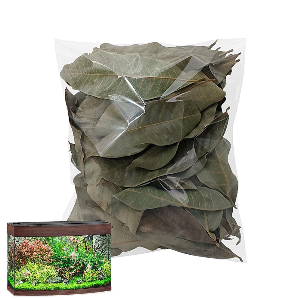 Reptile Leaf Litter, 50 Pieces, Natural Pet Accessory