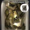 Reptile Leaf Litter, 50 Pieces, Natural Pet Accessory view 2