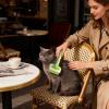Dayysiuy Cat Slicker Brush view 2