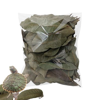 Leaf Litter for Reptiles, 50 Pieces, Natural Dry Pet Accessory