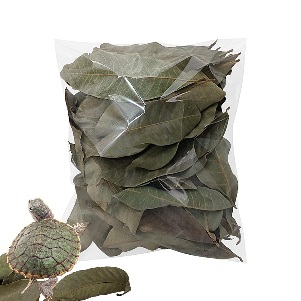 Leaf Litter for Reptiles, 50 Pieces, Natural Dry Pet Accessory