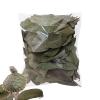 Leaf Litter for Reptiles, 50 Pieces, Natural Dry Pet Accessory view 1
