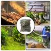 Leaf Litter for Reptiles, 50 Pieces, Natural Dry Pet Accessory view 2