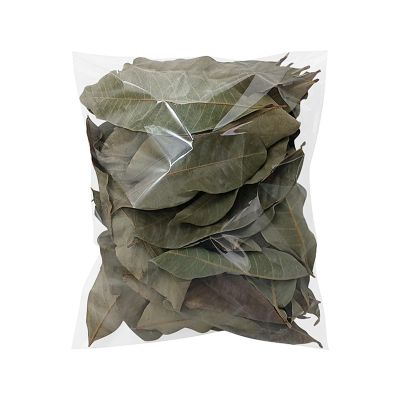 Leaf Litter for Reptiles