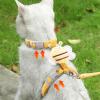 Avejjbaey Comfortable Pet Harness with Leash for Cats and Small Dogs view 3