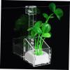ifundom 4-Piece Acrylic Aquarium Plant Holders view 4