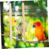 Gadpiparty Wooden Bird Ladder with Bells for Budgerigars, Cockatiels and Parrots view 4