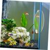 DOITOOL Betta Training Mirror view 3