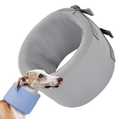 Sollee Dog Recovery Collar