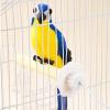 Dayysiuy Bird Perch Heater - USB Bird Warmer view 3