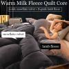 YWQJL Winter Duvet, Thick Plush Lamb-Cashmere Quilted Blanket, 180 x 220 cm, 3.5 kg view 2