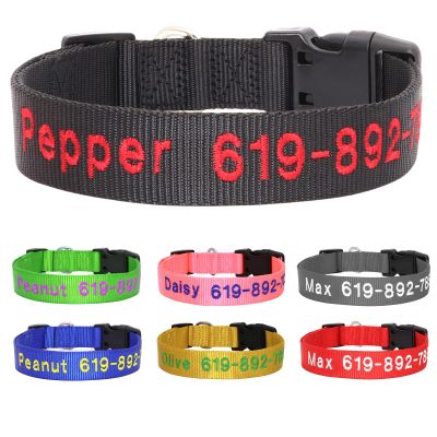 Personalized Dog Collar