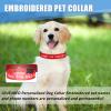 Personalized Dog Collar view 3