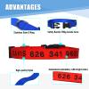 Personalized Dog Collar view 4