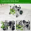 Lightweight Dog Wheelchair for Rear Legs, Adjustable Rehabilitation Cart for Large Dogs view 4