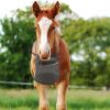 Horse Feed Bag, Slow Feeder Hay Bag view 2