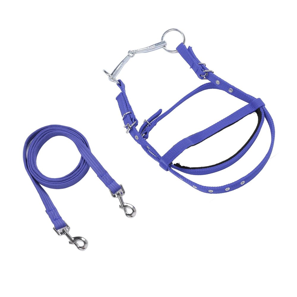RASTKY Nylon Bridle Reins with Headpiece, Size S