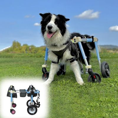 Generic Adjustable 4-Wheel Dog Wheelchair for Medium-Sized Pets, Mobility Aid with Hind Leg Support and Protective Padding, Recovery Tool for Dogs (Blue, XS)