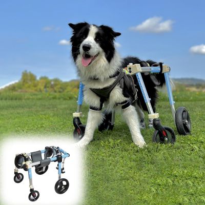 Generic Adjustable 4-Wheel Dog Wheelchair for Medium-Sized Pets, Blue, XL