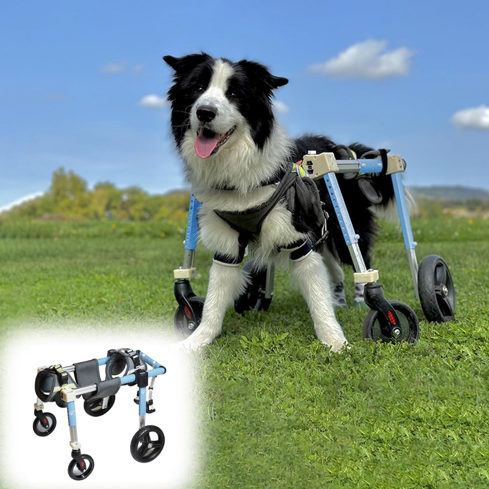 Generic Adjustable 4-Wheel Dog Wheelchair for Medium-Sized Pets, Blue, XL