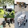 Generic Adjustable 4-Wheel Dog Wheelchair for Medium-Sized Pets, Blue, XL view 2