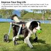 Generic Adjustable 4-Wheel Dog Wheelchair for Medium-Sized Pets, Blue, XL view 4