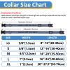 Reflective Customizable Dog Collar | 5 Sizes | Name Embroidery | Adjustable Nylon Buckle Collar | Suitable for All Dogs | Purple view 2