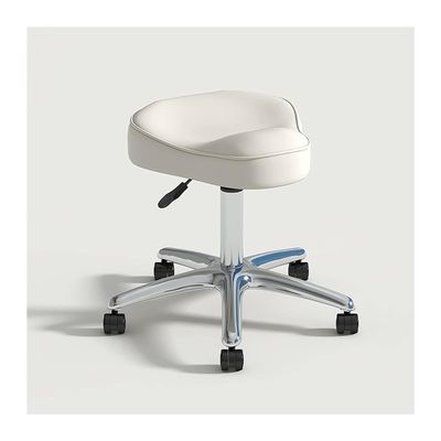 FXLUHAY Barber Stool Office Chair Saddle Stool Massage Swivel Chair for Beauty Salons, Dental Offices, Spas, and Studios, Adjustable Rolling Hydraulic Stool (Grey Wolf)