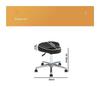 FXLUHAY Barber Stool Office Chair Saddle Stool Massage Swivel Chair for Beauty Salons, Dental Offices, Spas, and Studios, Adjustable Rolling Hydraulic Stool (Grey Wolf) view 2