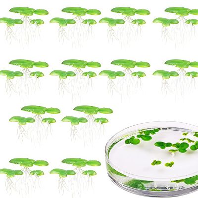 2-Pack Artificial Floating Plants for Aquariums