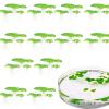 2-Pack Artificial Floating Plants for Aquariums view 1