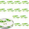 2-Pack Artificial Floating Plants for Aquariums view 4