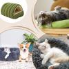 Enclosed Cat House for Pets view 4