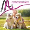 Dog Play Rope with 360-Degree Swivel and Shock-Absorbing Function view 2