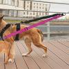 Dog Play Rope with 360-Degree Swivel and Shock-Absorbing Function view 3