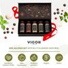 VIGOR Spice Gift Set with 5 Spices view 2