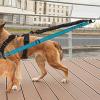 Shock-Absorbing Reflective Dual Dog Leash for Medium and Large Breeds view 2