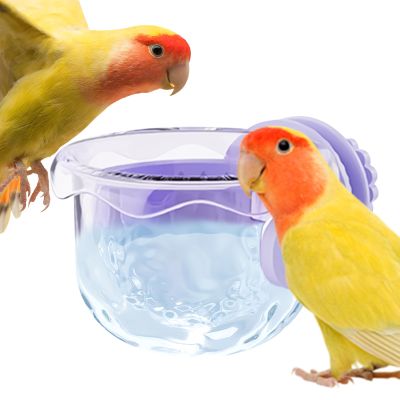 Bird Cage Feeder