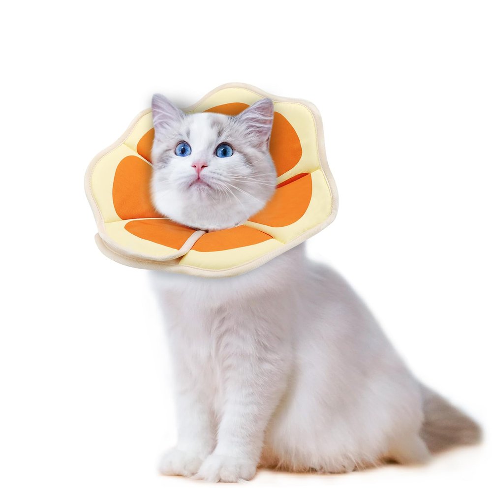 Supet Soft Fruit-Style Collar for Cats & Small Dogs