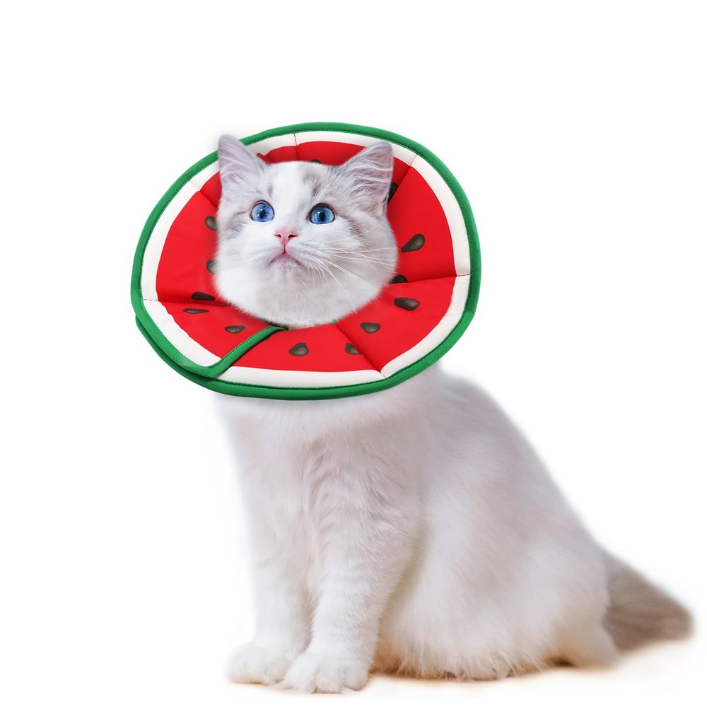 Supet Soft Fruit-Style Recovery Collar for Cats & Small Dogs