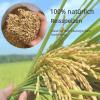 YIHAKIDS Rice Hulls 12 L – Natural Rice Husks for Plants, Poultry & Small Pets view 2