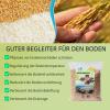 YIHAKIDS Rice Hulls 12 L – Natural Rice Husks for Plants, Poultry & Small Pets view 3