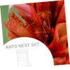 TEHAUX Acrylic Ant Water Feeder view 3
