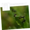 TEHAUX Acrylic Ant Water Feeder view 4