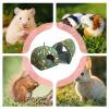 Generic Hamster Bed, 2 Pieces, Soft and Warm Hammock for Hamsters view 4