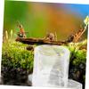 ibasenice Ant Water Dispenser with Visible Food Container view 3