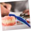 Yardwe 4-Piece Double-Ended Denture Brushes view 3