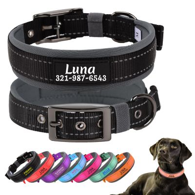 Personalized Black Dog Collar with Soft Neoprene Padding