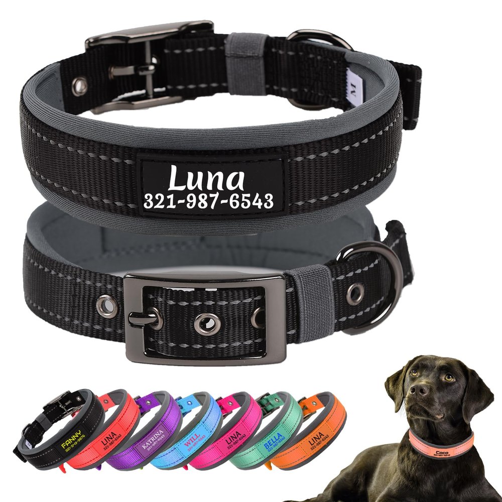 Personalized Black Dog Collar with Soft Neoprene Padding