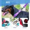 Personalized Black Dog Collar with Soft Neoprene Padding view 4